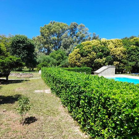 Lemontree Apartments Kassiopi Zewnętrze zdjęcie