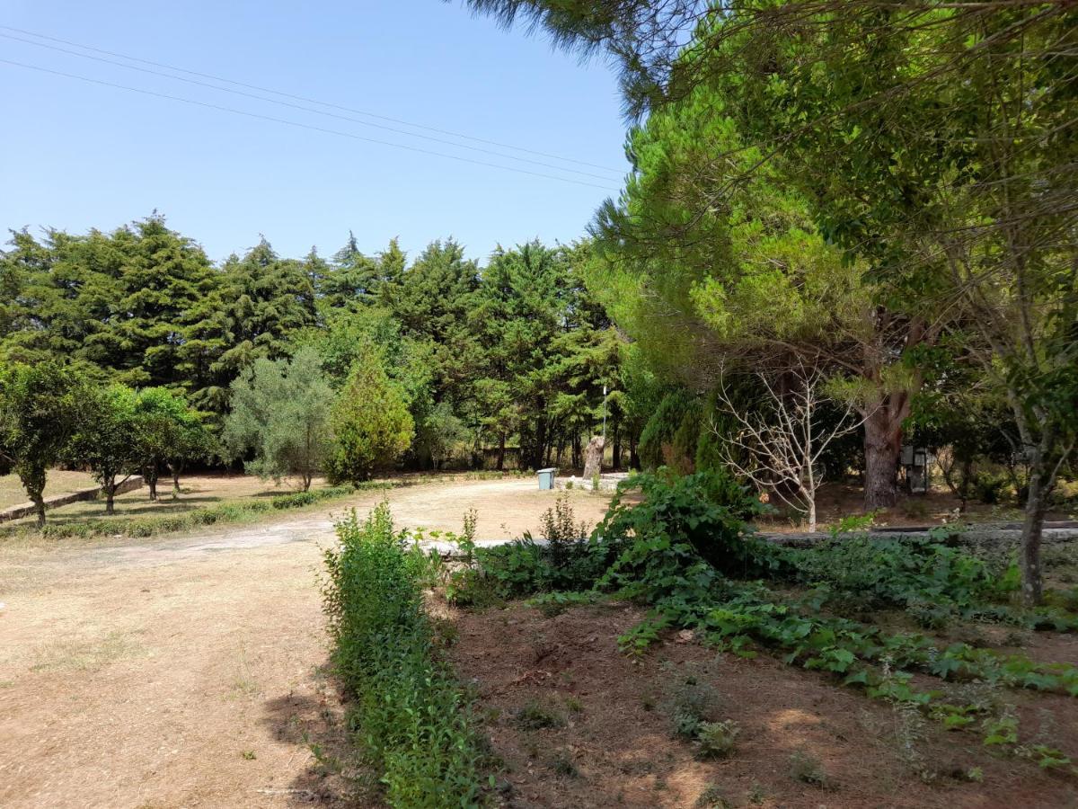 Lemontree Apartments Kassiopi Zewnętrze zdjęcie