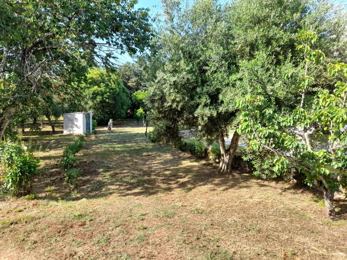 Lemontree Apartments Kassiopi Zewnętrze zdjęcie