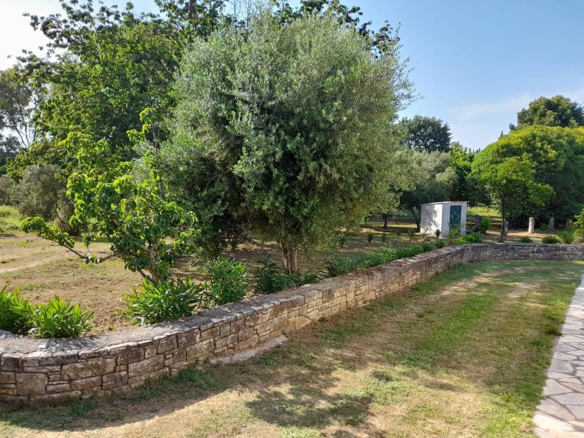 Lemontree Apartments Kassiopi Zewnętrze zdjęcie