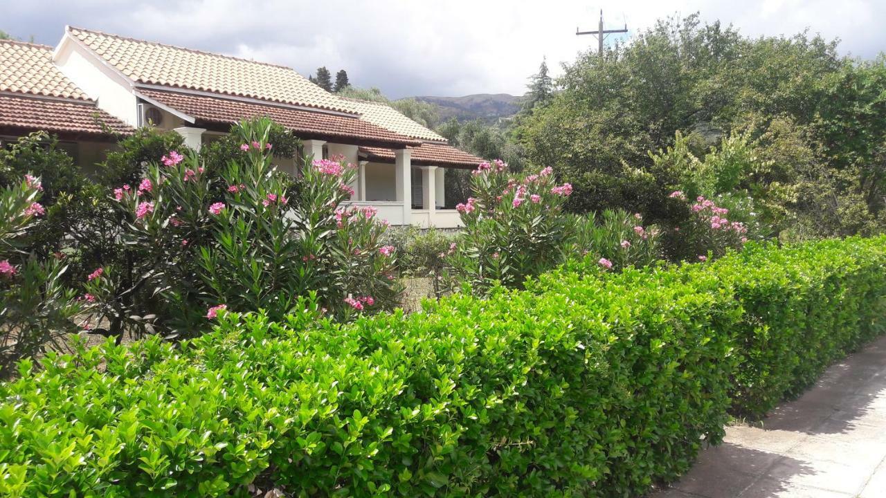 Lemontree Apartments Kassiopi Zewnętrze zdjęcie